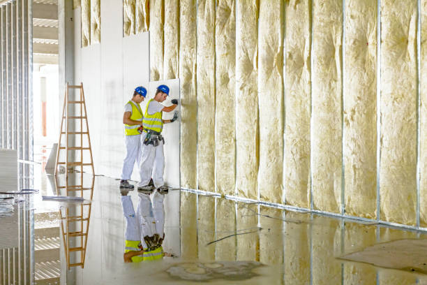 Best Insulation Installation Services in Benson, AZ